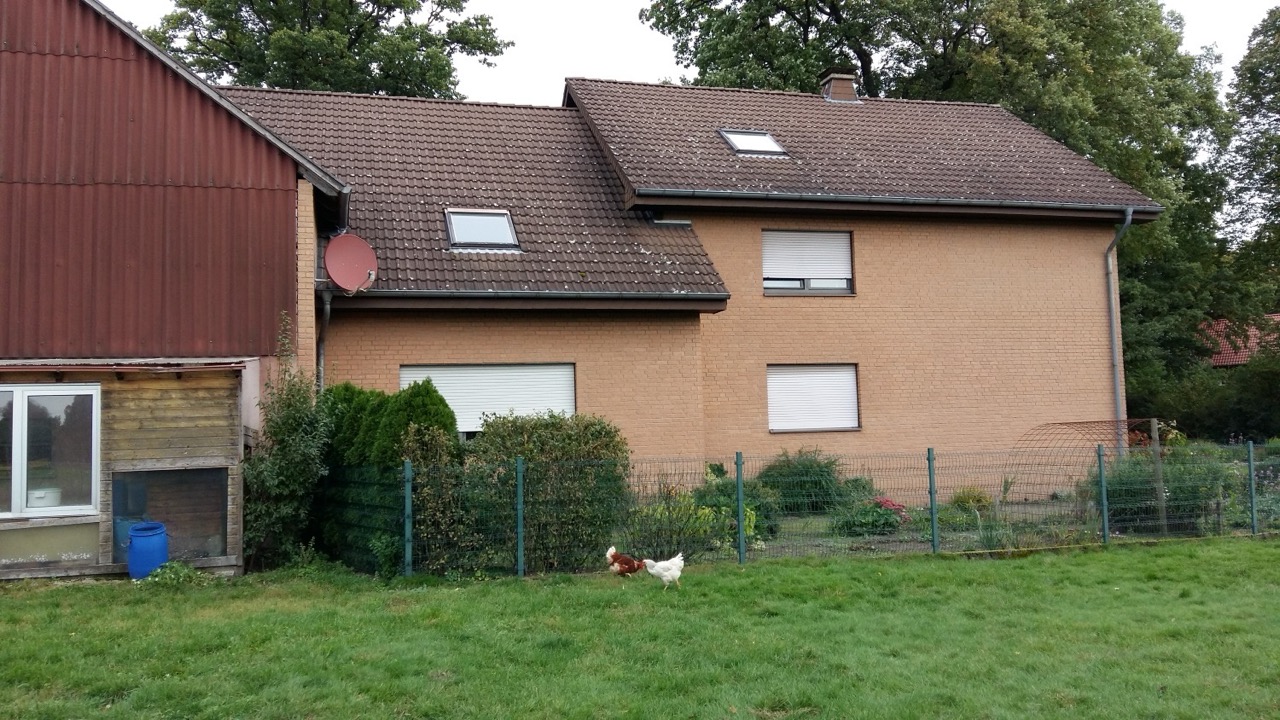 Ein Ziegelhaus mit zwei Dachfenstern und angrenzendem Nebengebäude, im Garten laufen Hühner. Bautenschutz Bogumil GmbH.