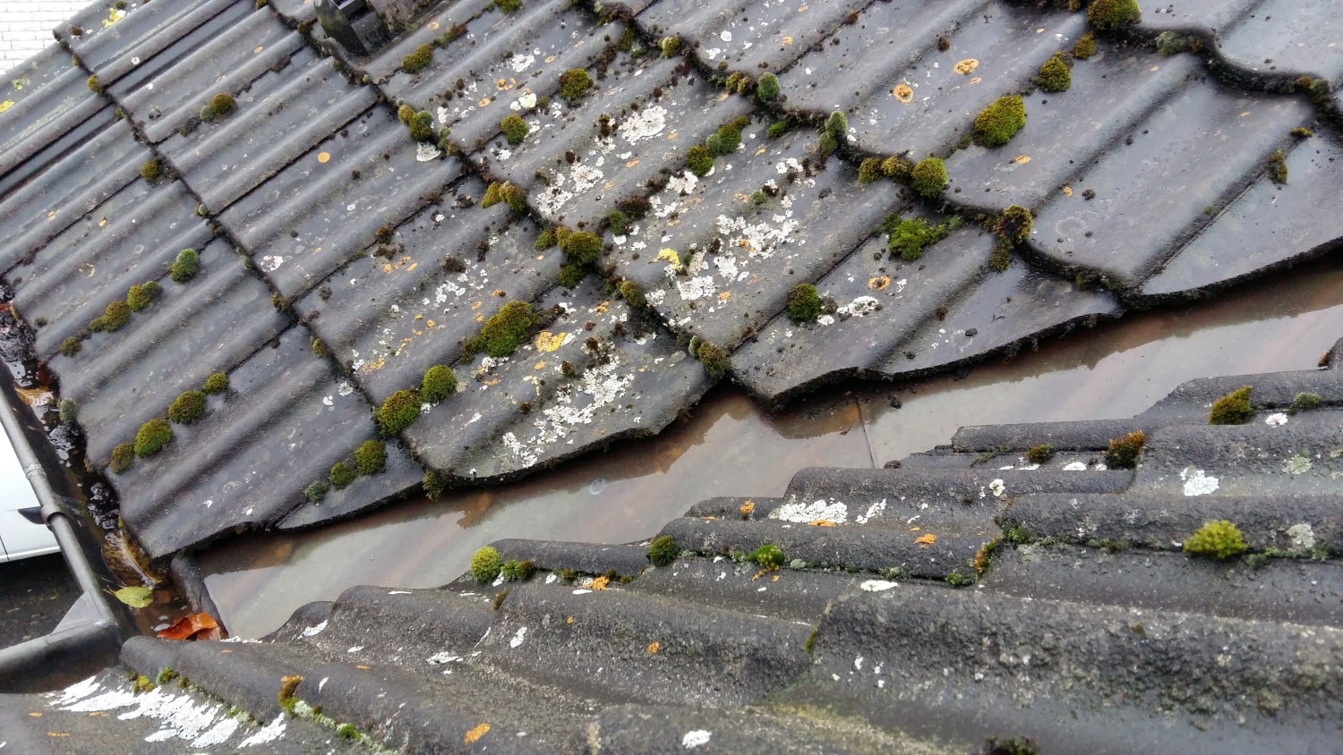 Verwittertes Dach mit Moosbewuchs und Flechten, vor der Sanierung durch Bautenschutz Bogumil GmbH.