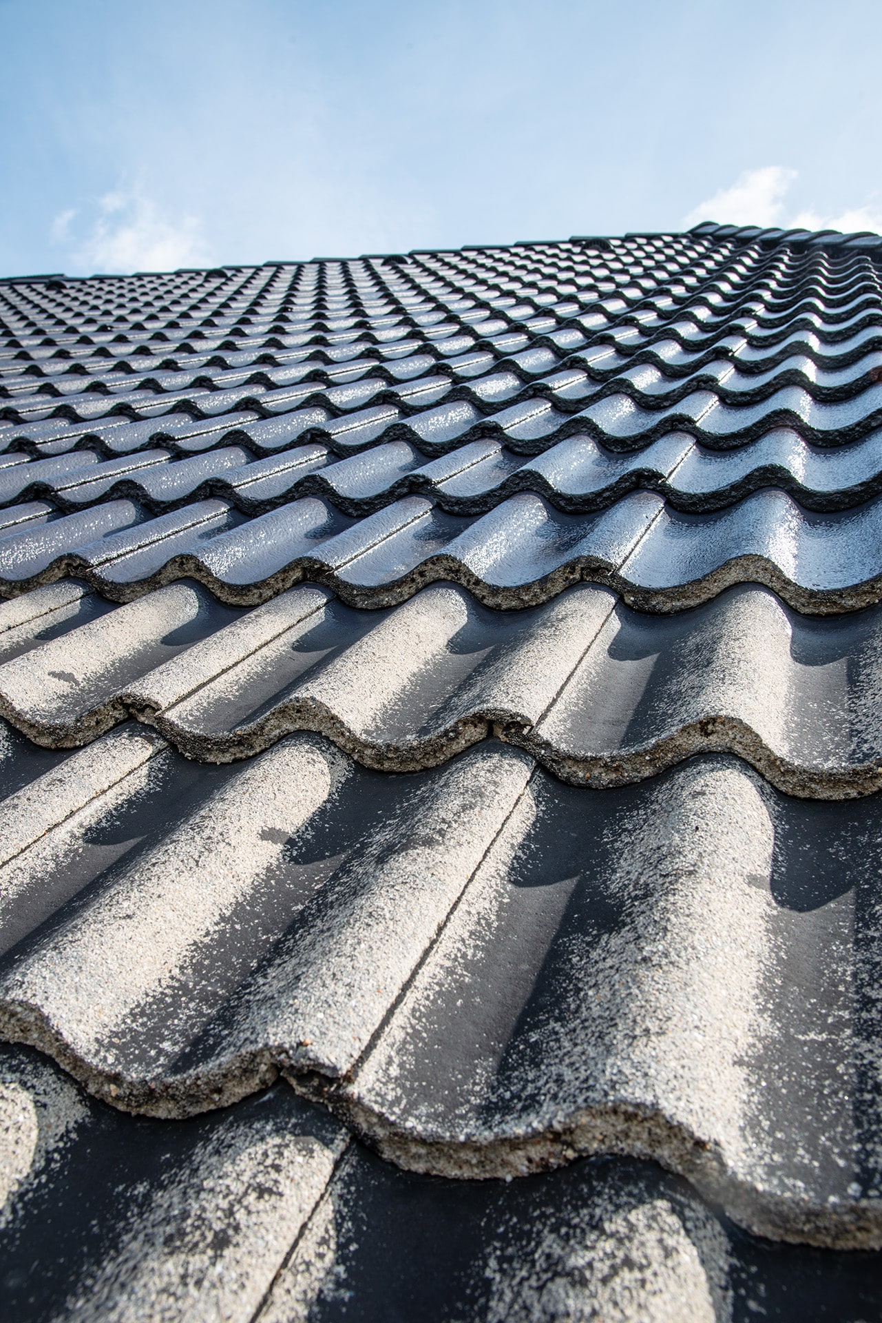 Well-maintained roof tiles under blue sky, representing Bautenschutz Bogumil GmbH's expertise in roofing services.